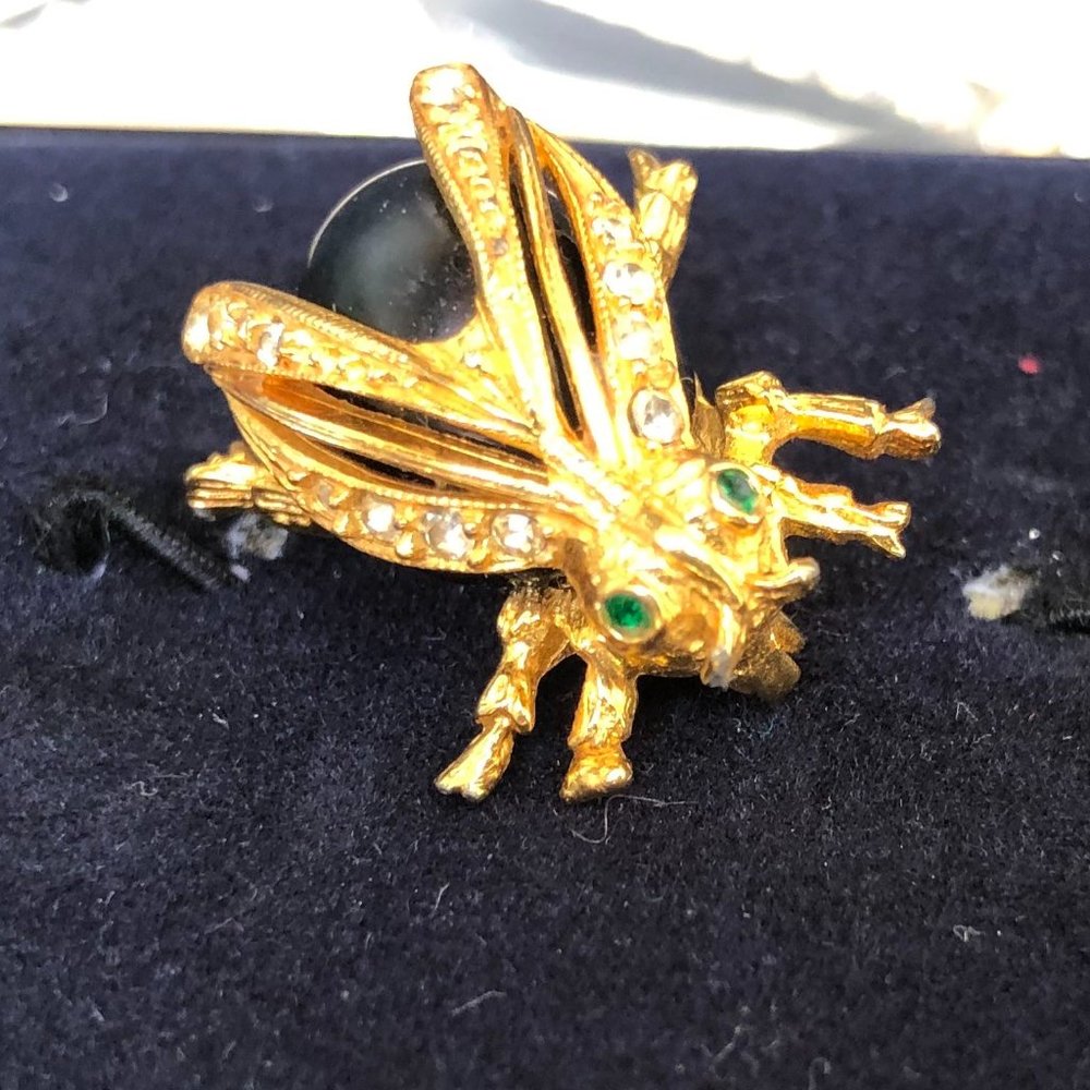 Gold and Black Stone Beetle Pin Brooch